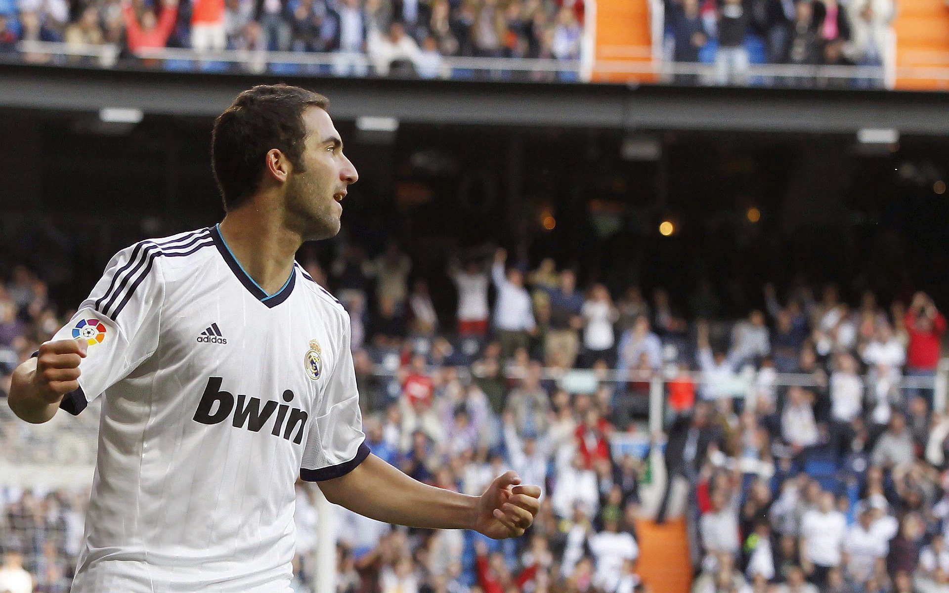 全球体育赛事总结